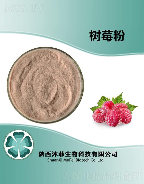 ����������Ƽ����޹�˾����Ƙ�ݮ��