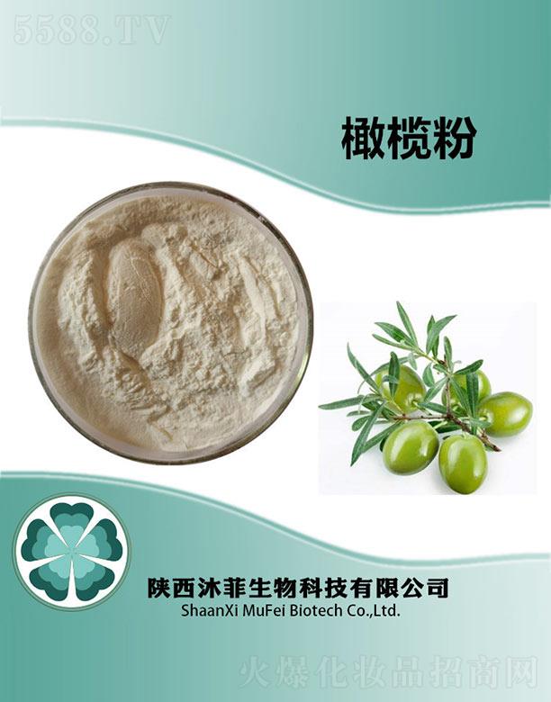 ����������Ƽ����޹�˾������ϙ��