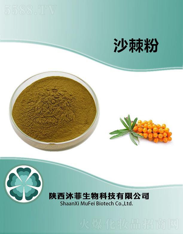 ����������Ƽ����޹�˾�����ɳ����