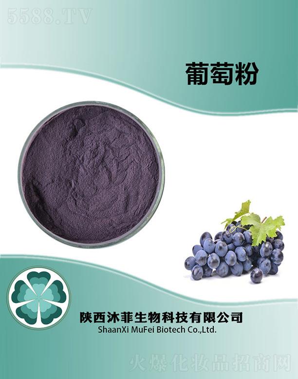 ����������Ƽ����޹�˾��������ѷ�