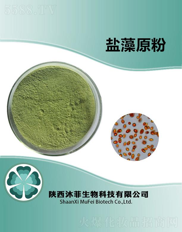 ����������Ƽ����޹�˾������}��ԭ��