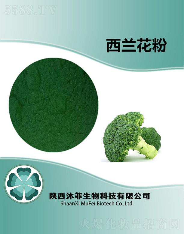 ����������Ƽ����޹�˾��������m����