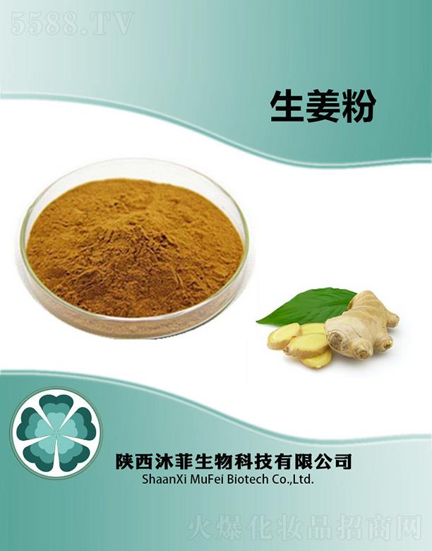 ����������Ƽ����޹�˾�����������