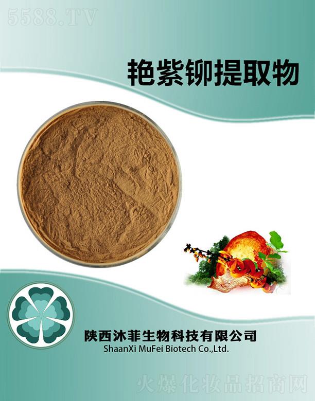 ����������Ƽ����޹�˾������G���T��ȡ��