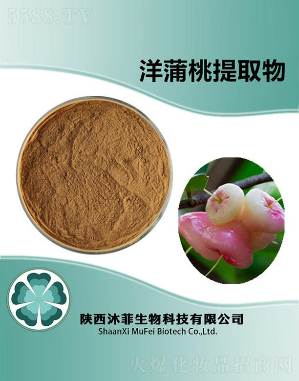 ����������Ƽ����޹�˾�������������ȡ��