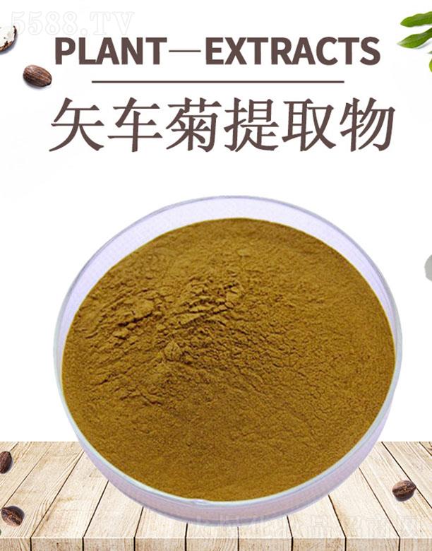 ����ĺ�����Ƽ����޹�˾���ĺ�ʸ܇(ch��)����ȡ��