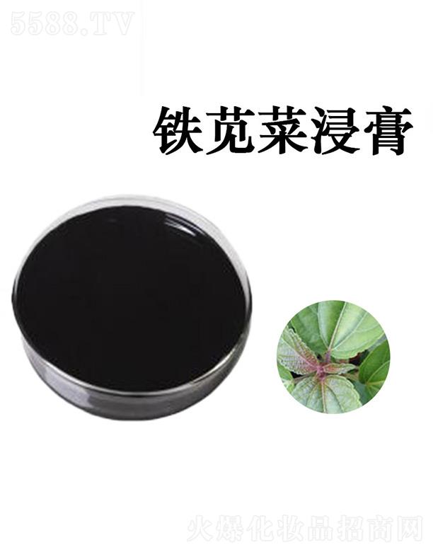 ����G�R����Ƽ����޹�˾���G�R�F�{�˽���