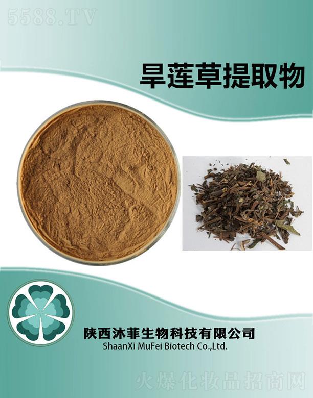 ����������Ƽ����޹�˾����ƺ�ɏ����ȡ��