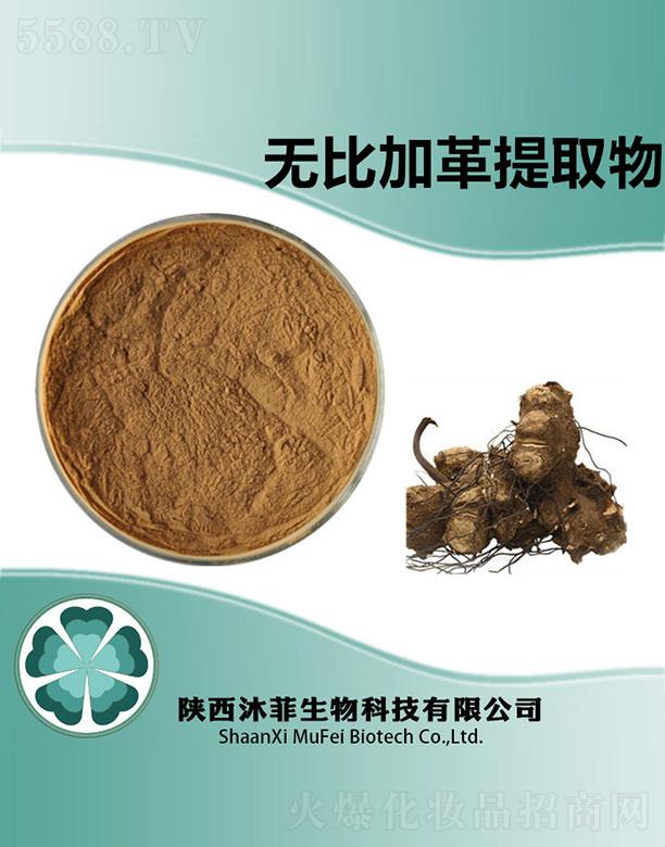 ����������Ƽ����޹�˾����Ɵo�ȼӸ���ȡ��