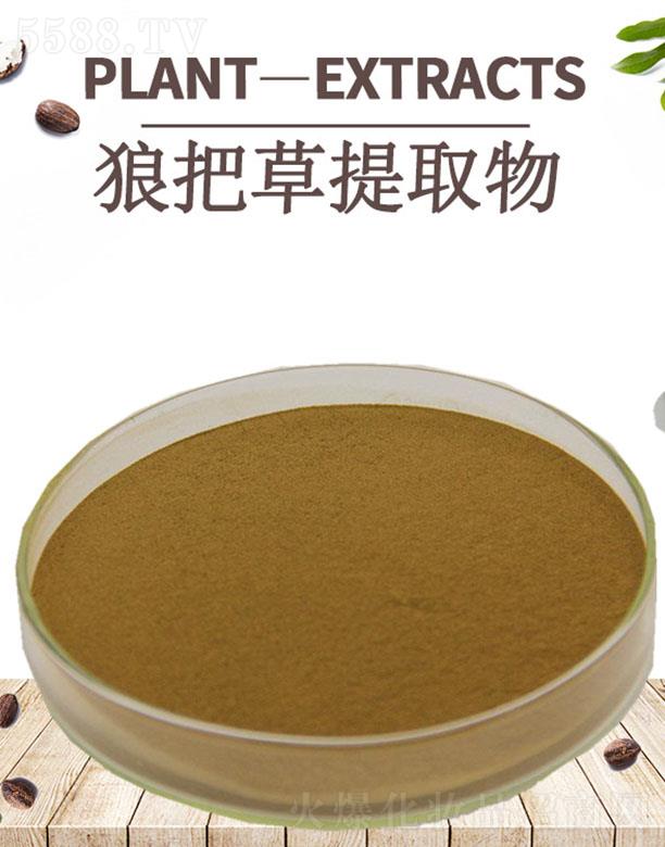 ����ĺ�����Ƽ����޹�˾���ĺ��ǰѲ���ȡ��