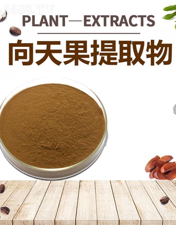 ����ĺ�����Ƽ����޹�˾���ĺ��������ȡ��