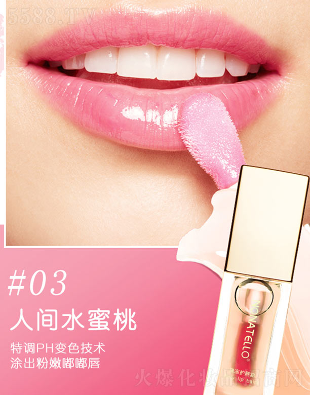 �V�ݿ�ӯ���yƷ���޹�˾�������o����-3