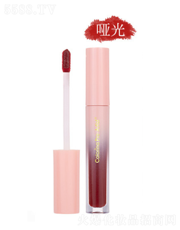 �㽭�����Ƽ����޹�˾��ܽ���{8ɫ����-����ɫ