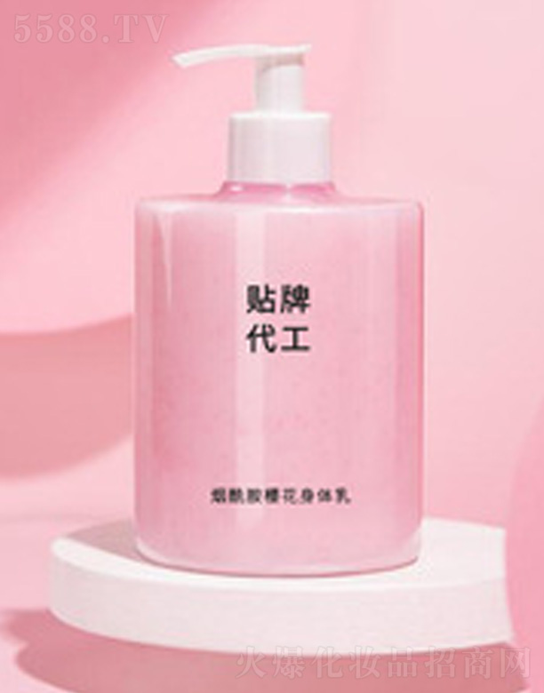 �V�����������＼�g(sh��)���޹�˾���������ѻ����w����ӹ�