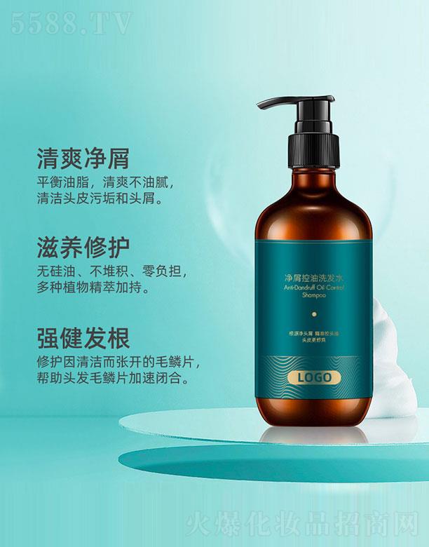 �V�����y��(gu��)�H����Ƽ����޹�˾����м����ϴ�l(f��)ˮ