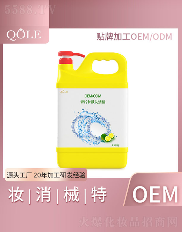 �V�|��������Ƽ����޹�˾�������o(h��)�wϴ����