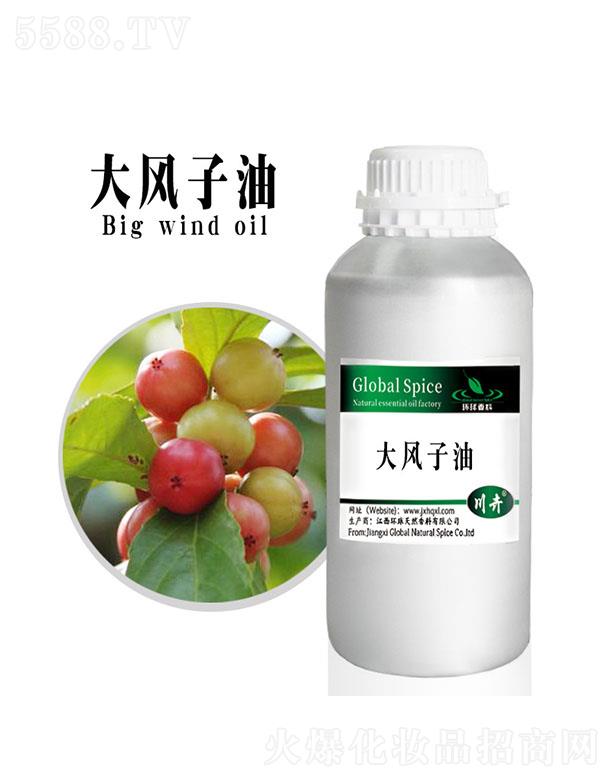 �����h(hu��n)����Ȼ�������޹�˾���h(hu��n)����L(f��ng)����