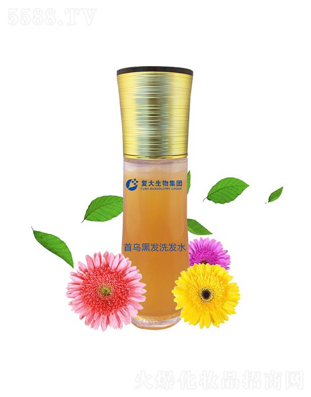 ɽ�|��(f��)������Ƽ����޹�˾����(f��)�����Ｏ�F�מ��ڰl(f��)ϴ�l(f��)ˮ���ӹ�