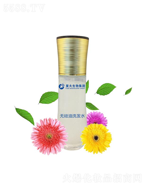 ɽ�|��(f��)������Ƽ����޹�˾����(f��)�����Ｏ�F�o����ϴ�l(f��)ˮ���ӹ�