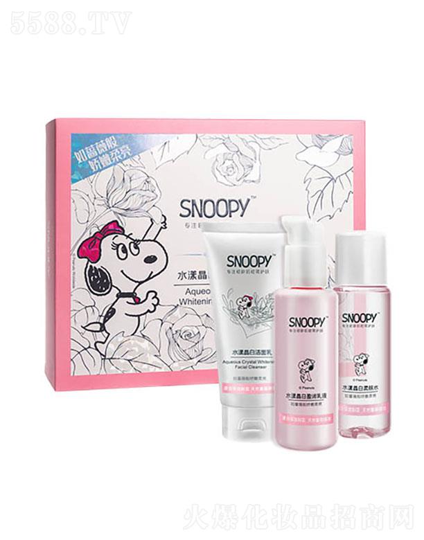 �麣�����Ȼ��yƷ���޹�˾��SNOOPYˮ�����׻����Y��