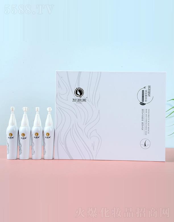 ����Դ������Ƽ����޹�˾���l(f��)Դ�ݏ��g���l(f��)�Ҿ���