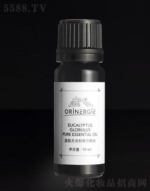 �W��{�������ڣ����ݿƼ����޹�˾��ORiNERGiE�{�z�ȼ����η�����