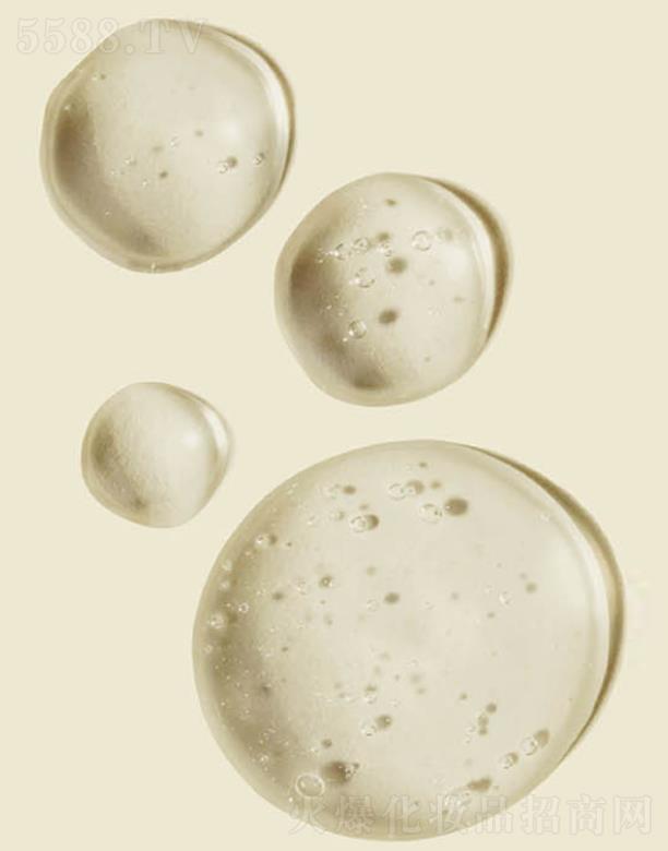 ����˹���Ϻ������yƷ���޹�˾��ANCORS���׸��ğ��ɿ�����Ĥ