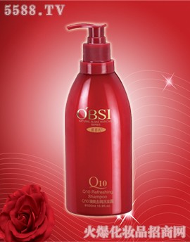 �W����Q10ϴ�o(h��)ϵ��ϵ�ж�