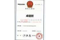 ׿�����̘�(bi��o)ע���C