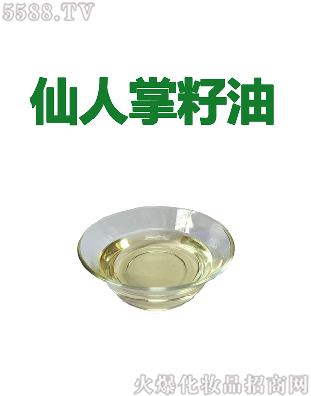 ���������������