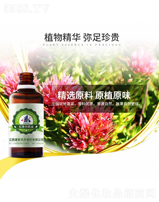 ���ұ��ݼt���쾫��