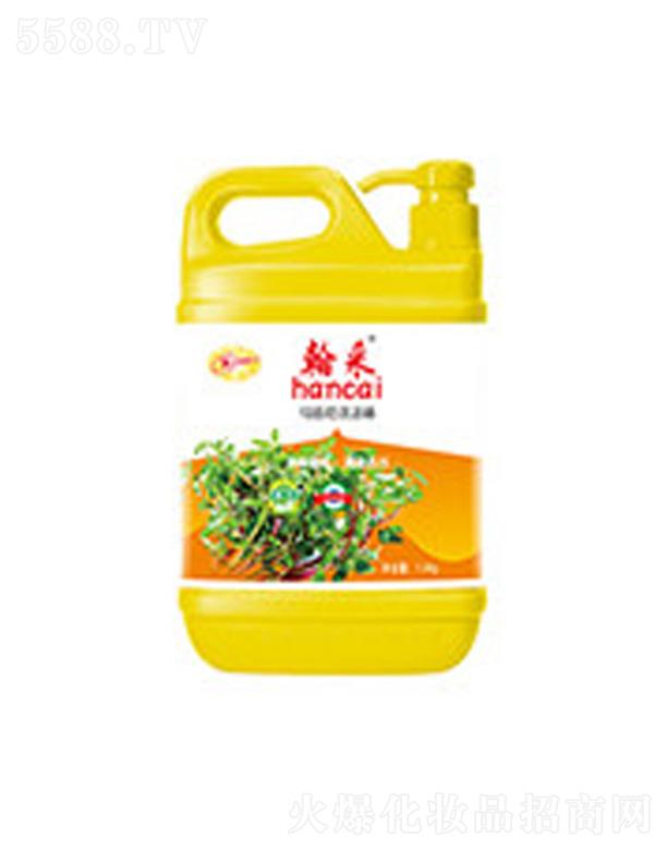 �����R�X�{ϴ����