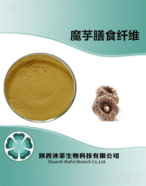 ���ħ����ʳ�w�S