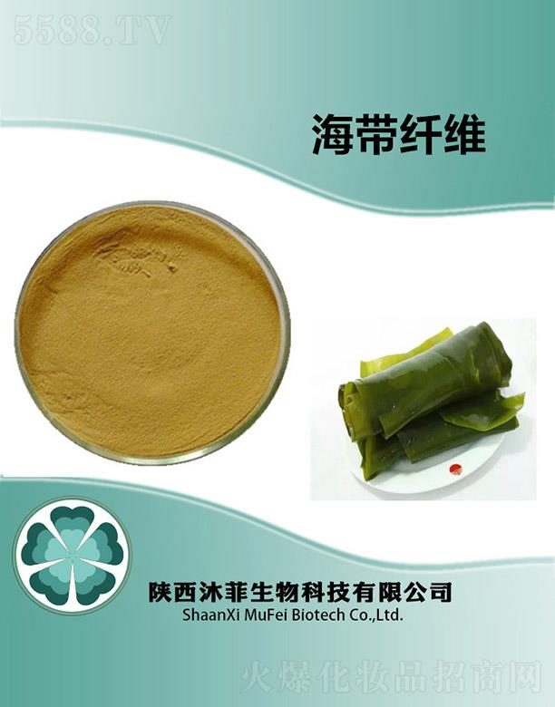 ��ƺ����w�S