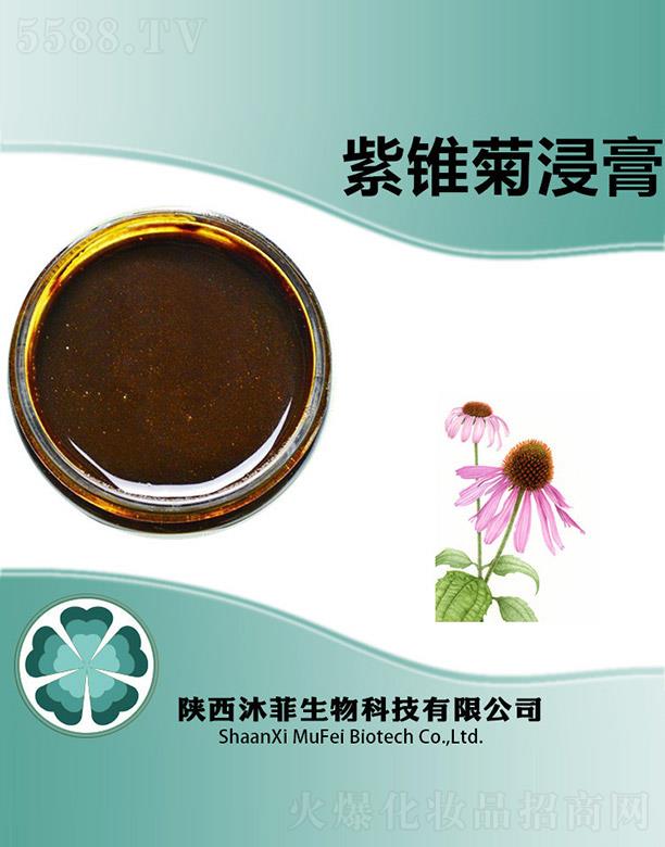 ������F�ս���