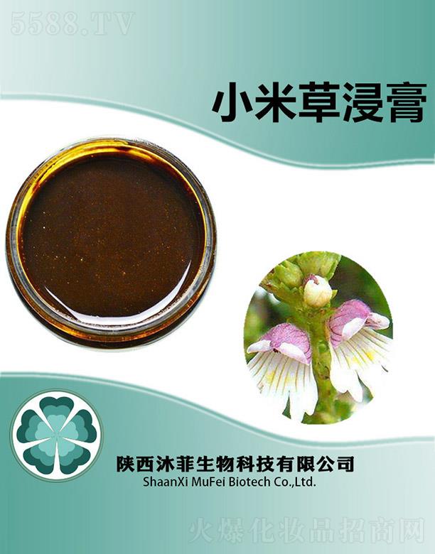 ���С�ײݽ���