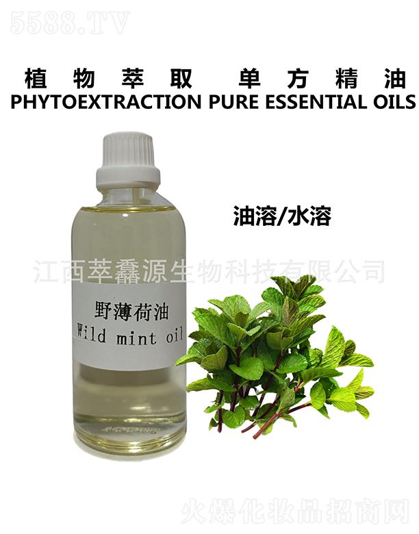 ���QԴҰ������