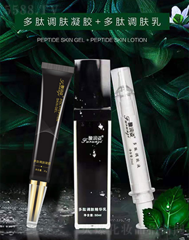 𥝙�˶����{�w���z+�����{�w��