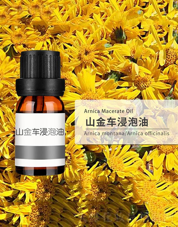 ɽ��܇������