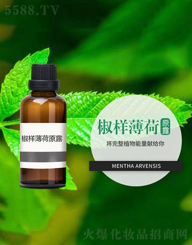 ���ӱ���ԭ¶