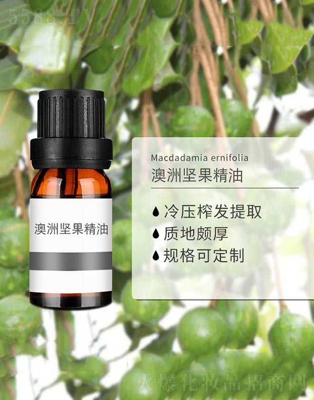 ���ވ�(ji��n)������