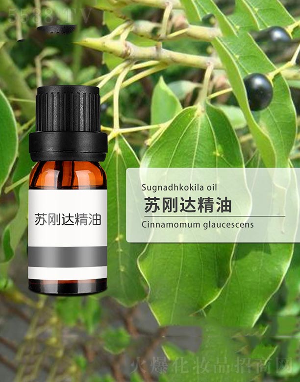 �K���_����