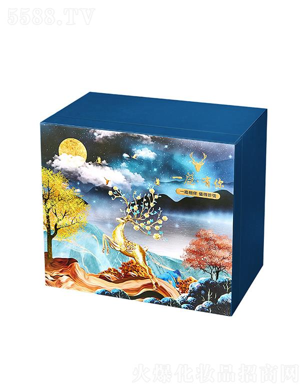 һ¹�����̽��@���y����(l��)�Y��