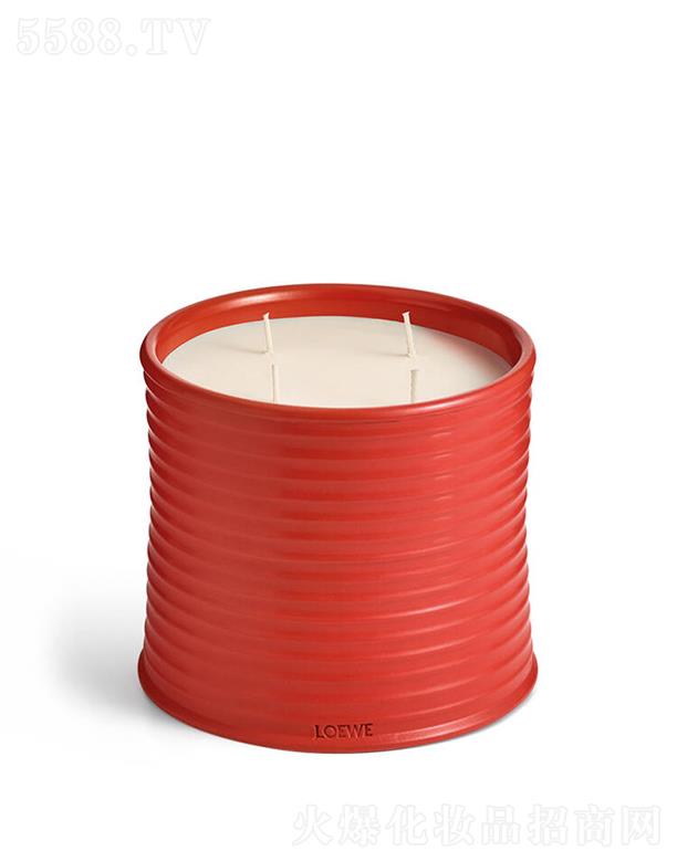 LOEWE��̖�����~�㾫Ϟ�T 100����