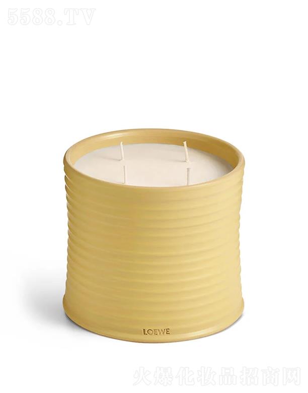 LOEWE��̖(h��o)���y���㾫Ϟ�T 100����