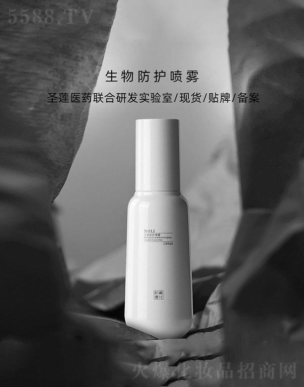 �V��ʥɏ   ʥɏ������o���F  �����ϻ�   �����ɻ�