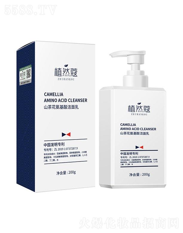 ֲȻޢɽ�軨�����ᝍ����  200g