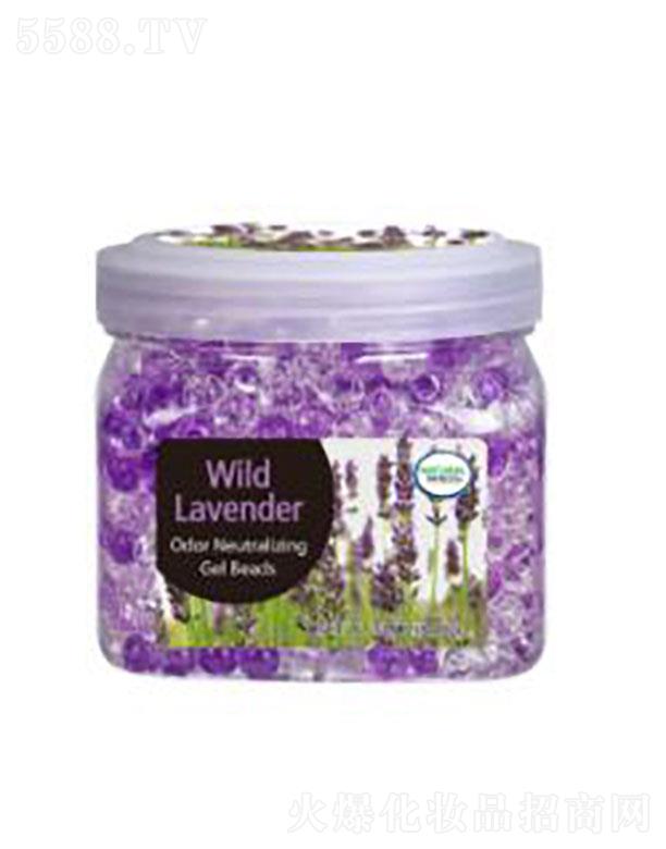 ���z�������-Ұ����޹�²�