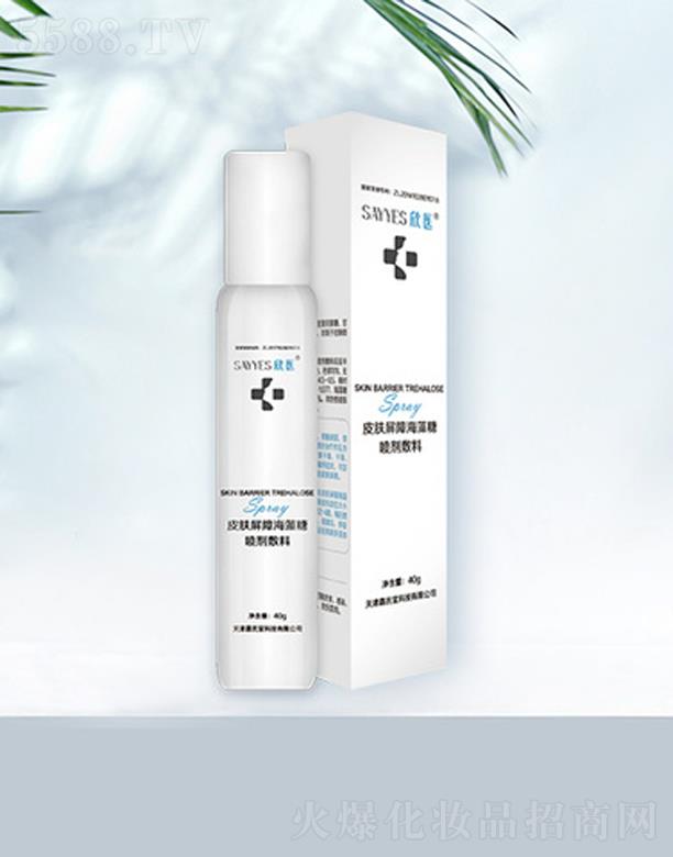 Ƥ�w���Ϻ����Ǉ�������