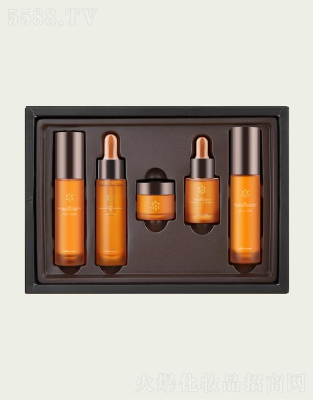 DC EXPORT���������b